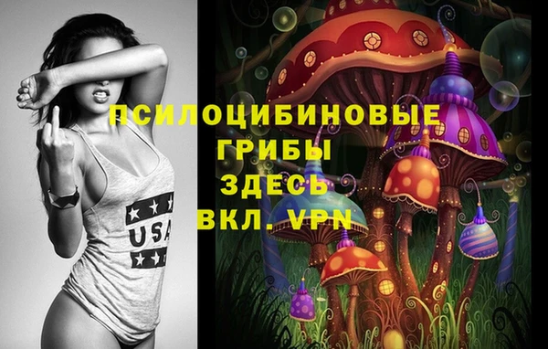 MESCALINE Вяземский