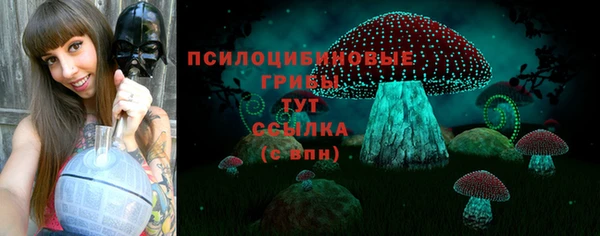 ешки Медвежьегорск