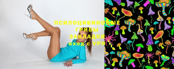 тгк Мегион