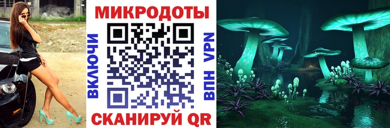 Псилоцибиновые грибы Cubensis ОМГ ОМГ зеркало Железногорск-Илимский
