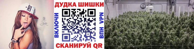 Каннабис сатива  маркетплейс состав  Железногорск-Илимский  купить  
